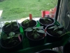 Habaneros
